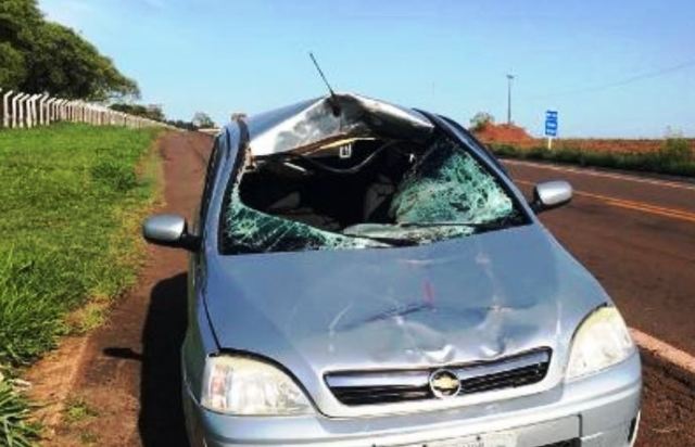 Após ultrapassagem, carro bate contra cavalo e mata passageira em Goiás