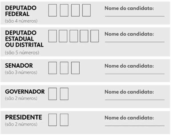 Goionews - Justiça Eleitoral Orienta Que Eleitores Levem A “colinha” No ...